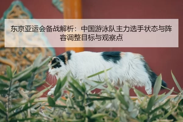 dong-jing-ya-yun-hui-bei-zhan-jie-xi-zhong-guo-you-yong-dui-zhu-li-xuan-shou-zhuang-tai-yu-zhen-rong-tiao-zheng-mu-biao-2-974.jpg